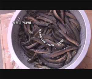 �~���ȡ�C-�����q��