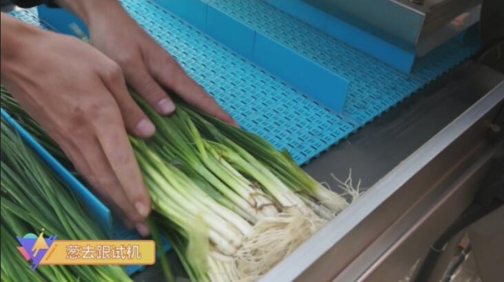 ݔ��ʽȥ���C