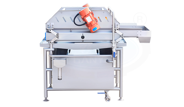 ���������^�V�C